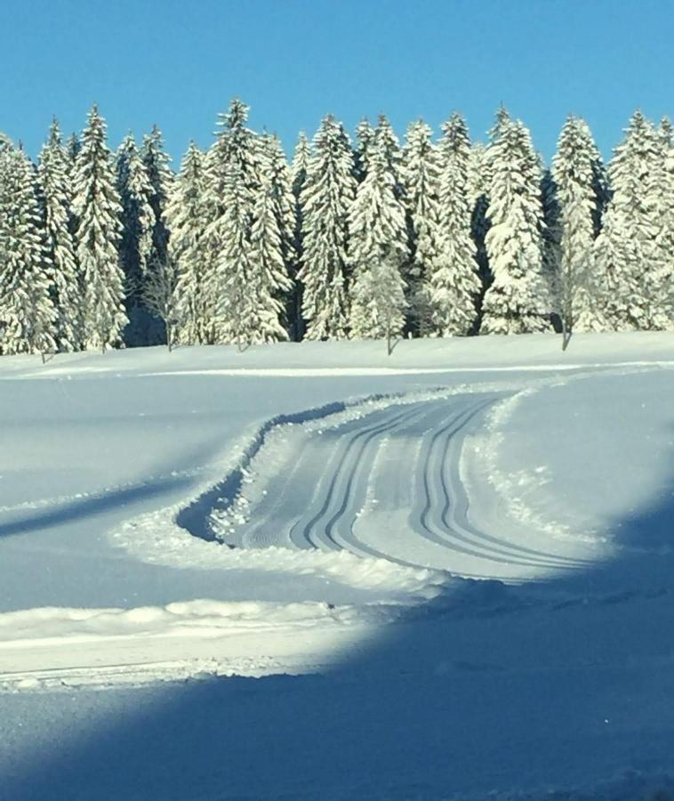 Haus Hasenmueller Appartement Schmiedefeld am Rennsteig Buitenkant foto